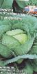 Cabbage  Monarkh F1 grade Photo