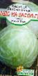 Cabbage varieties Chudo na zasol F1 Photo and characteristics