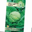 Cabbage  Ditmarsher fryuer grade Photo