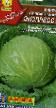 Bílé zelí druhy Ehkspress F1 fotografie a charakteristiky