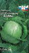 Cabbage varieties Behlla F1 Photo and characteristics
