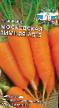 Морковь сорта Московская Зимняя А 515 Фото и характеристика