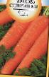 Zanahoria variedades Supermuskat Foto y características
