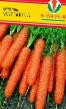 Carrot varieties Malyshka Photo and characteristics