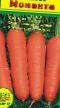 Zanahoria variedades Monanta Foto y características