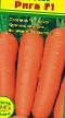 La carota le sorte Riga foto e caratteristiche