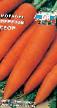 Морковь  Первый сбор сорт Фото