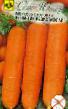La carota  Nantik Rezistaflajj F1 la cultivar foto