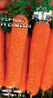 Carrot varieties Samson F1 Photo and characteristics