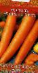 Морковь сорта Монастырская  Фото и характеристика
