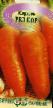 une carotte  Red kor l'espèce Photo