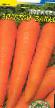 une carotte  Zolotojj zapas l'espèce Photo