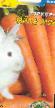 une carotte  Zajjka moya l'espèce Photo