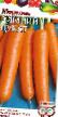 Морковь  Зимний цукат сорт Фото