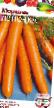 Carrot varieties Lenochka Photo and characteristics