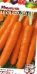 Carrot varieties Lyubimaya Photo and characteristics