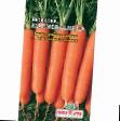 une carotte  Marmeladnica l'espèce Photo