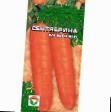 une carotte  Sentyabrina l'espèce Photo