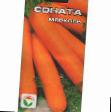 Carrot varieties Sonata  Photo and characteristics