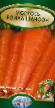 Carrot varieties Rojjal Shanson  Photo and characteristics