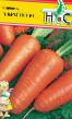 Морковь сорта Абрино f1 Фото и характеристика