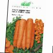 Морковь сорта Скарла  Фото и характеристика