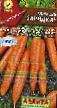 Carrot varieties Zaryadka  Photo and characteristics