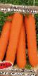 une carotte les espèces Nou Flajj F1 Photo et les caractéristiques