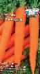 Carrot varieties Kanada F1 Photo and characteristics