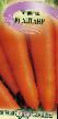 une carotte  Altair F1 l'espèce Photo