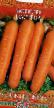 Carrot varieties Nastena  Photo and characteristics