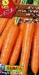 La carota  Nantskaya 2 Tip Top la cultivar foto