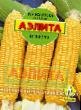 Corn  Nevesta grade Photo