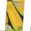 Corn varieties Bylina Photo and characteristics