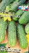 Cucumbers varieties Banochnyjj F1 Photo and characteristics