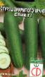 Cucumbers varieties Blik F1 Photo and characteristics