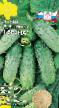 Cucumbers varieties Vesna F1 Photo and characteristics