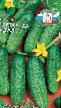 Cucumbers varieties Mal-da-udal F1  Photo and characteristics