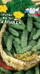 Cucumbers varieties Marinda Photo and characteristics