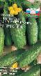 Cucumbers  Prestizh F1 grade Photo
