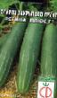 Cucumbers varieties Regina plyus F1 Photo and characteristics