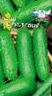 Cucumbers varieties Fruktovyjj F1 Photo and characteristics