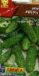 Cucumbers varieties Afonya F1 Photo and characteristics