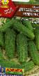 Cucumbers varieties Derevenskaya yarmarka F1 Photo and characteristics