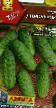 Cucumbers varieties Domovenok F1 Photo and characteristics