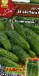 Cucumbers varieties Zamarinujj F1 Photo and characteristics