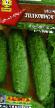 Cucumbers varieties Zozulenok F1 Photo and characteristics