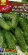 Cucumbers varieties Ne grusti - pokhrusti F1 Photo and characteristics
