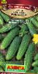 Cucumbers varieties Russkaya rubashka F1 Photo and characteristics