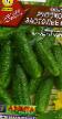 Cucumbers varieties Russkoe zastole F1 Photo and characteristics